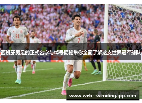 西班牙男足的正式名字与绰号揭秘带你全面了解这支世界冠军球队 西班牙男足的正式名字与绰号揭秘带你全面了解这支世界冠军球队
