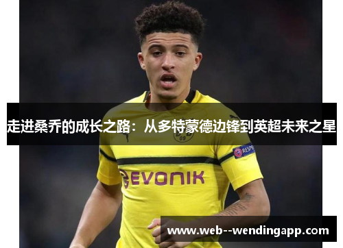 走进桑乔的成长之路:从多特蒙德边锋到英超未来之星 走进桑乔的成长之路:从多特蒙德边锋到英超未来之星